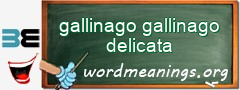 WordMeaning blackboard for gallinago gallinago delicata